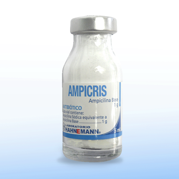 Ampicris 1 g - Vial