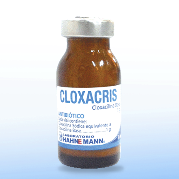 Cloxacris - Vial