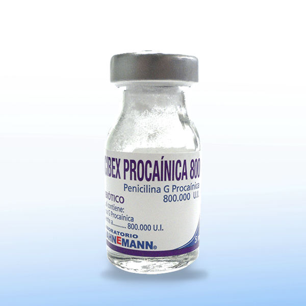 Pencibex Procaínica 800 - Vial